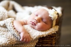 Edited_Small_IMG_0875
